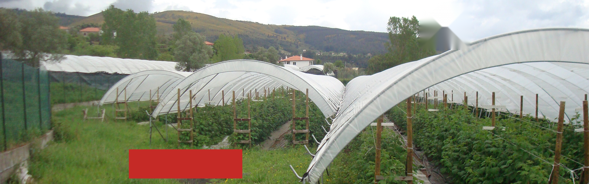 Agriculture