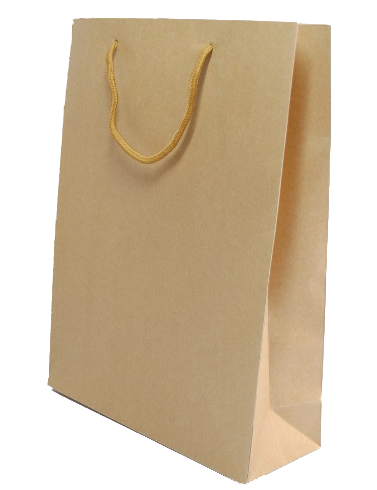 Paper bag with cord handles
